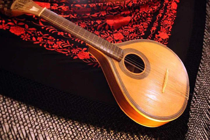 For small groups in Lisbon with fado show and dinner